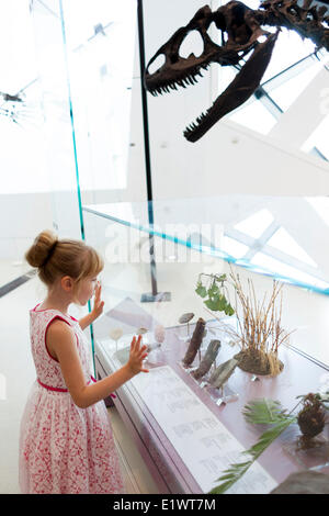 Jeune fille à la recherche de fossiles de dinosaures au Musée royal de l'Ontario, Toronto, Ontario, Canada Banque D'Images