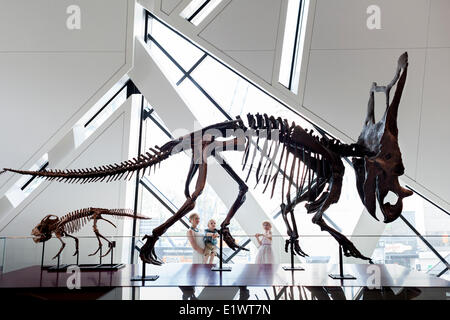 Mère avec petite fille et garçon à la recherche de fossiles de dinosaures au Musée royal de l'Ontario, Toronto, Ontario, Canada Banque D'Images