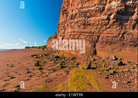 Falaises sédimentaires du Trias au parc provincial Blomidon font face à l'érosion constante de marées de la baie de Fundy. Bassin Minas (Nouvelle-Écosse). Banque D'Images