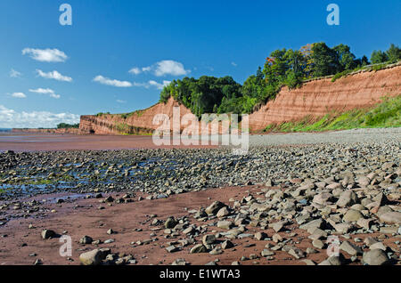 Falaises sédimentaires du Trias au parc provincial Blomidon font face à l'érosion constante de marées de la baie de Fundy. Bassin Minas (Nouvelle-Écosse). Banque D'Images