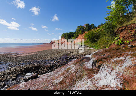 Falaises sédimentaires du Trias au parc provincial Blomidon font face à l'érosion constante de marées de la baie de Fundy. Bassin Minas (Nouvelle-Écosse). Banque D'Images