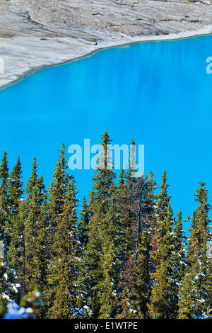 Vue aérienne du lac Peyto, Banff National Park, Alberta, Canada Banque D'Images