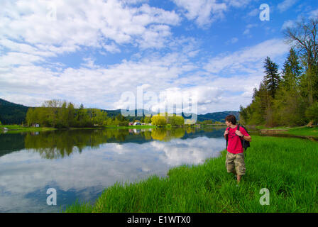 La randonnée, le long de la rivière Shuswap, Grindrod, British Columbia, Canada, M. 001 Banque D'Images