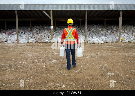 Les conteneurs de tri des travailleurs au centre de recyclage de pesticides, Mountain View County, Alberta, Canada. Banque D'Images