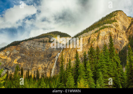 Les chutes Takakkaw, Parc national Yoho, Colombie-Britannique, Canada Banque D'Images