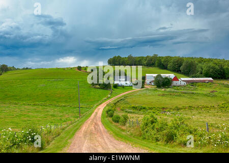 L'argile route menant à la ferme, Bonshaw, Prince Edward Island, Canada Banque D'Images