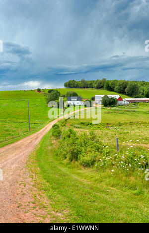 L'argile route menant à la ferme, Bonshaw, Prince Edward Island, Canada Banque D'Images