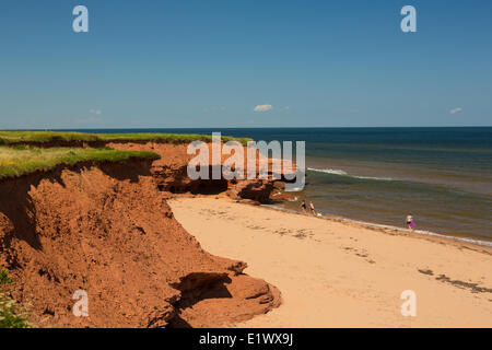 Falaise de grès érodées, Darnley, Prince Edward Island, Canada Banque D'Images