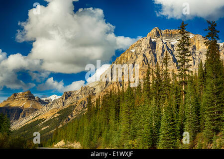 Monter Andromaque, glaciers, Banff National Park, Alberta, Canada1 Banque D'Images