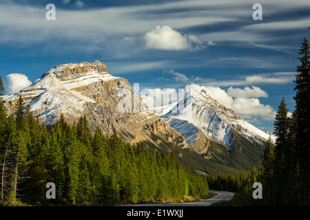 Monter Andromaque, glaciers, Banff National Park, Alberta, Canada1 Banque D'Images