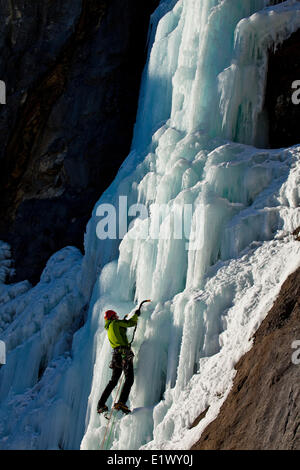 Un grimpeur sur glace travaille son chemin l'état ensoleillé de l'escalade de glace Champignons malin appelé WI5 dans la vallée de la rivière Ghost, AB Banque D'Images