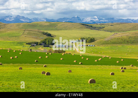 Ranch, Foothills, Longview, Alberta, Canada Banque D'Images