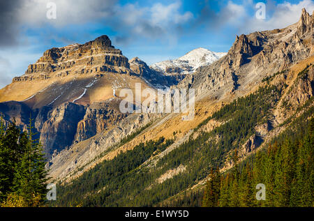 Monter Andromaque, glaciers, Banff National Park, Alberta, Canada1 Banque D'Images