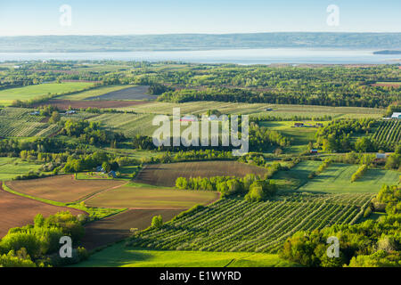 Vue sur la vallée de Annapols et bassin Minas de Blomidon Lookoff, vallée de l'Annapolis, en Nouvelle-Écosse, Canada Banque D'Images