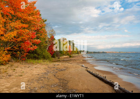 Le Parc Provincial Batchawana Bay, lac Supérieur, Ontario, Canada Banque D'Images