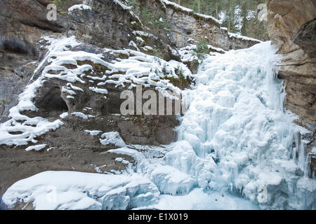 Cascade de glace dans la région de Johnston Canyon, Banff National Park, Alberta, Canada Banque D'Images