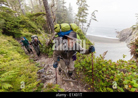 Les randonneurs près de 32 km sur le sentier de la côte ouest négocier une section trail avec une baisse particulièrement marquée. Sentier de la côte ouest Vancouver Banque D'Images