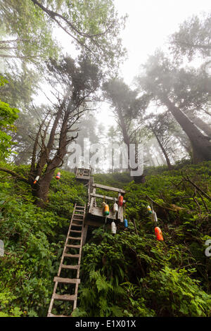 Sections escarpées le long du sentier de la côte ouest sont négociés par l'intermédiaire de systèmes de l'échelle comme celle-ci près de Tsusiat Falls. Sentier de la côte ouest Banque D'Images