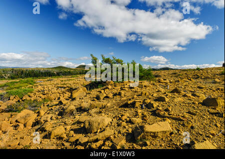 TABLELANDS. La péridotite roche est rare à la surface de la terre Raison de désignation comme site du patrimoine mondial par l'UNESCO. Gros Morne Banque D'Images