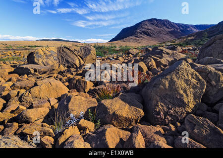 TABLELANDS. La péridotite roche est rare à la surface de la terre Raison de désignation comme site du patrimoine mondial par l'UNESCO. Gros Morne Banque D'Images