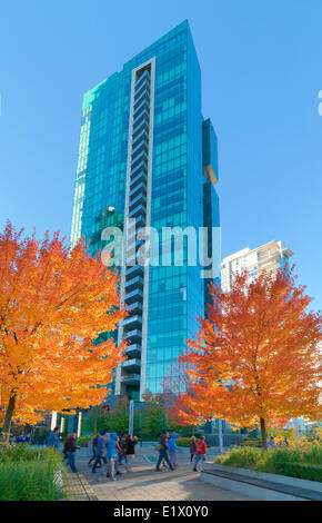 Tour de bureaux de Vancouver et les érables à l'automne. Banque D'Images