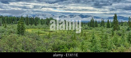 Les arbres et les nuages au nord de Haines Junction en roulant vers le bas la route de l'Alaska, du Yukon. Banque D'Images