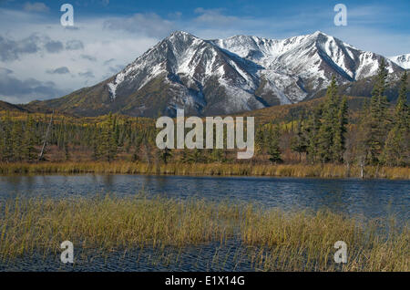 Gamme St-elias, près de l'accrocher, Territoire du Yukon le long de la route de l'Alaska, Canada. Septembre. Banque D'Images