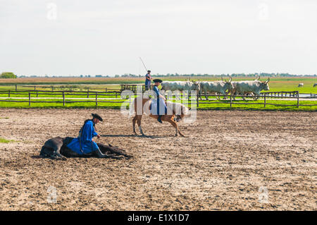 'Cowboy' Csikos hongrois autrefois commun sur la Grande Plaine hongroise, Kalocsa, Hongrie Banque D'Images