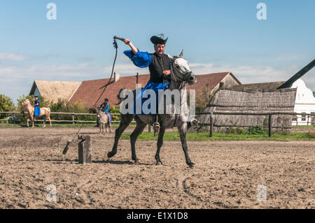 'Cowboy' Csikos hongrois autrefois commun sur la Grande Plaine hongroise, Kalocsa, Hongrie Banque D'Images