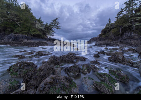 L'aube sur Crystal Cove, à Tofino, comme la marée monte à couvrir les rochers. Isalnd Vancouver, Colombie-Britannique, Canada. Banque D'Images