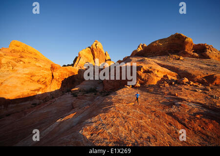 Le trail running en Vallée de Feu de stationnement. Las Vegas, Nevada. Banque D'Images