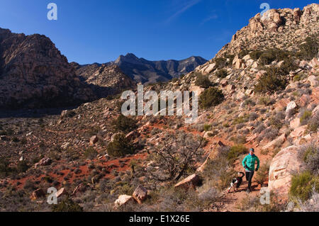 Femme trail running dans le Red Rock Canyon. Las Vegas, Nevada. Banque D'Images