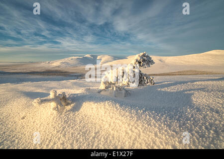 La fin de l'après-midi le soleil brille sur la neige couverts toundra sur le mountaiins autour d'Old Crow, au Yukon. Banque D'Images