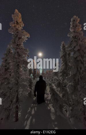 Personne debout dans la neige entouré d'arbres couverts de neige tout en regardant la lune, Old Crow, au Yukon. Banque D'Images