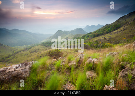 Aube dans Altos de Campana national park, province de Panama, République du Panama. Banque D'Images