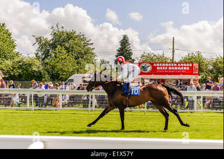 Salisbury Racecourse est un hippodrome au Royaume-Uni avec courses de chevaux pur-sang, 3 miles au sud-ouest de Salisbury, Wiltshire, Angleterre. 15 réunions de courses par an s'y tiennent entre début mai et mi-octobre. Banque D'Images