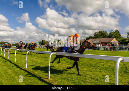 Salisbury Racecourse est un hippodrome au Royaume-Uni avec courses de chevaux pur-sang, 3 miles au sud-ouest de Salisbury, Wiltshire, Angleterre. 15 réunions de courses par an s'y tiennent entre début mai et mi-octobre. Banque D'Images