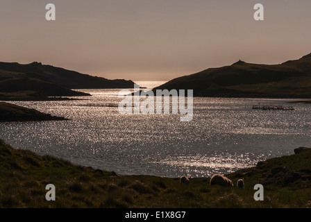 Une soirée vue ouest de Mavis Grind, Shetland Ecosse Banque D'Images