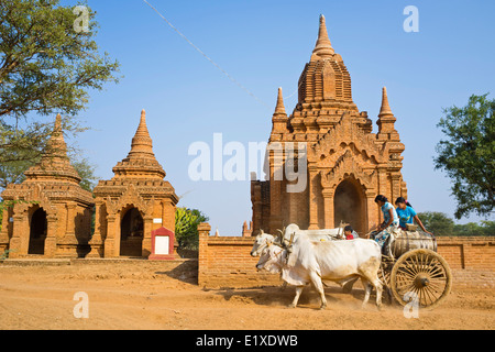 Oxcart avec des ragots, Bagan, Myanmar, en Asie Banque D'Images