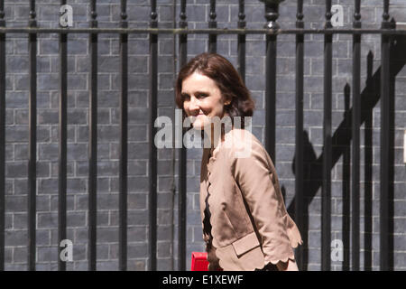 Westminster, London, UK 10 juin 2014. Secrétaire d'État pour l'Irlande du Nord Theresa Villiers MP arrive à Downing Street pour la réunion hebdomadaire du cabinet Crédit : amer ghazzal/Alamy Live News Banque D'Images