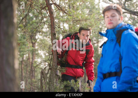 Homme backpackers en forêt Banque D'Images