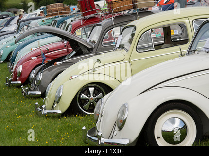 Ligne de voitures VW Beetle classique. Face à l'arrivée d'un VW Show. Stoner Park, Oxfordshire, Angleterre Banque D'Images