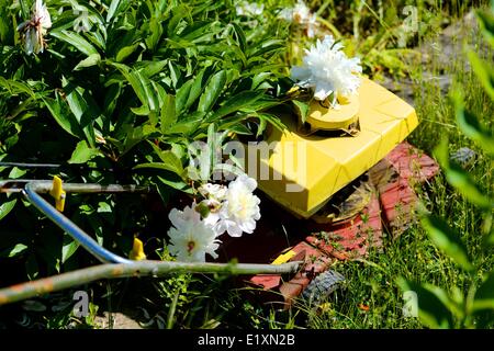 Une tondeuse dans un jardin en Allemagne, 06. Juin 2014. Photo : Frank May Banque D'Images