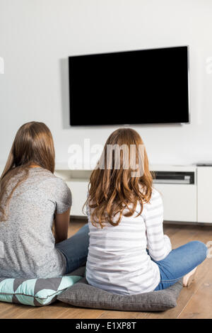 Vue arrière des soeurs de regarder la télévision à la maison Banque D'Images