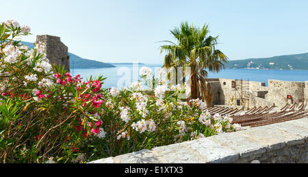 Château Forte Mare (Herceg Novi, Monténégro) Banque D'Images