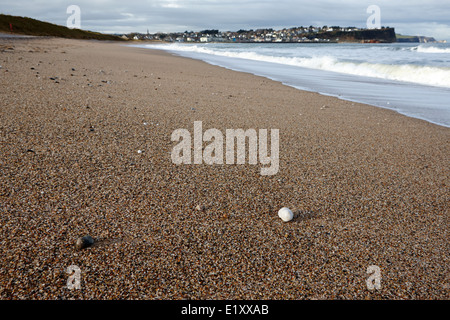 Pierres et cailloux sur ballycastle beach en hiver le comté d'Antrim en Irlande du Nord Banque D'Images