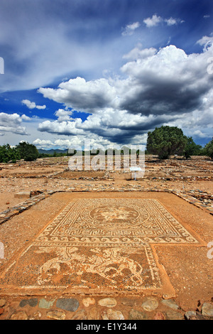 Belle mosaïque à Ancient Olynthos (Olynthus), municipalité, Polygyros ('Halkidiki Chalkidiki'), la Macédoine, la Grèce. Banque D'Images