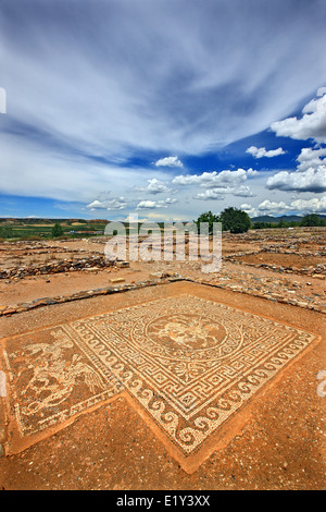 Belle mosaïque à Ancient Olynthos (Olynthus), municipalité, Polygyros ('Halkidiki Chalkidiki'), la Macédoine, la Grèce. Banque D'Images