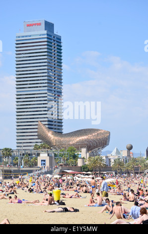 Le soleil à la plage de Barceloneta avec Frank Gehry's Fish, Peix, Sculpture et Mapfre Tower Building. Barcelone, Catalogne, Espagne. Banque D'Images