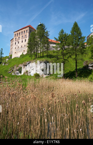 Région de Malopolska Pologne Parc National Ojcow Pieskowa Skala Château près de Cracovie Banque D'Images